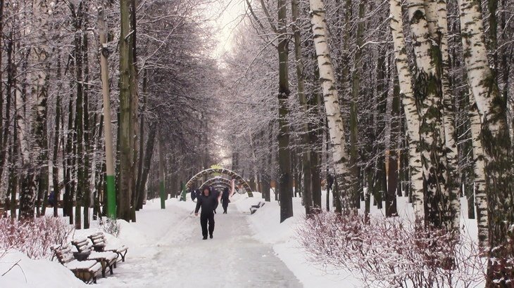 Карта лакреевского леса